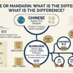 Chinese or Mandarin