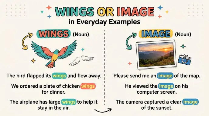 Wings or Image in Everyday Examples